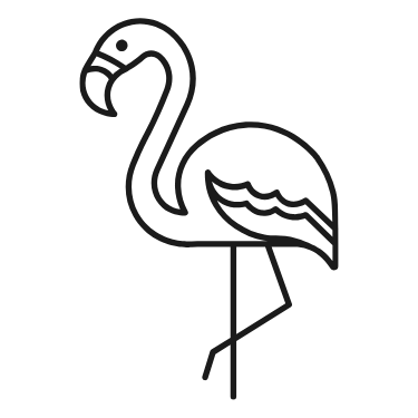 Flamenco - Delta del Ebro